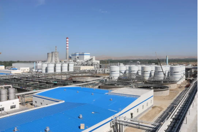 藏宝阁主页9909990