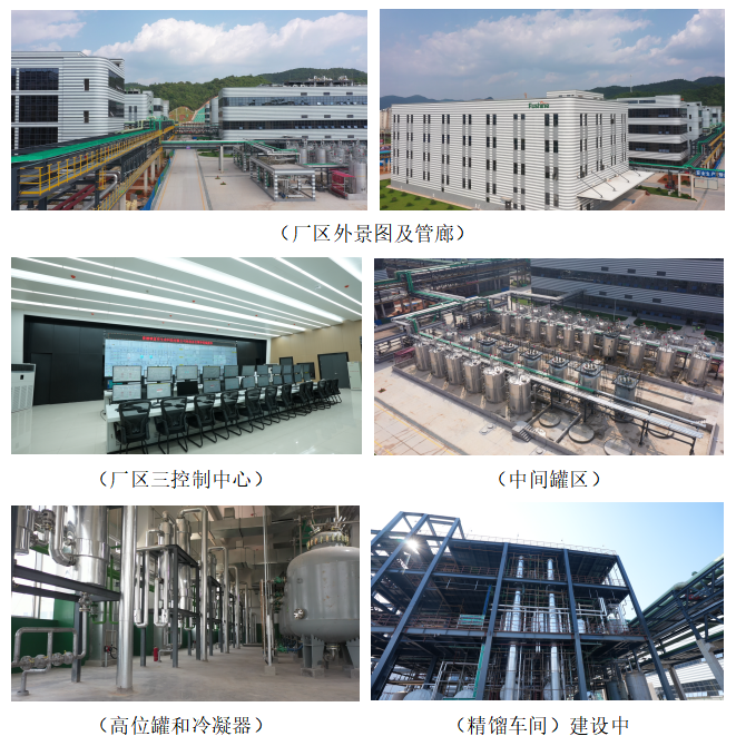 藏宝阁主页9909990