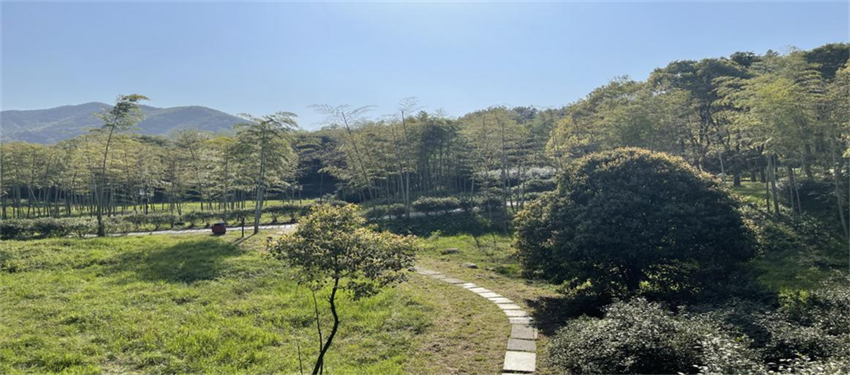 藏宝阁主页9909990